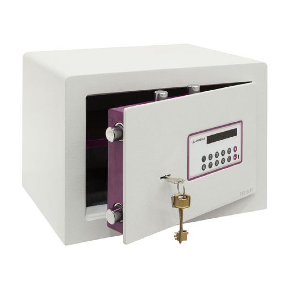 Caja seguridad ARREGUI Forma Evolution