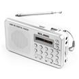 Radio digital FM Elbe RF-49-USB lector MP3 bateria recargable